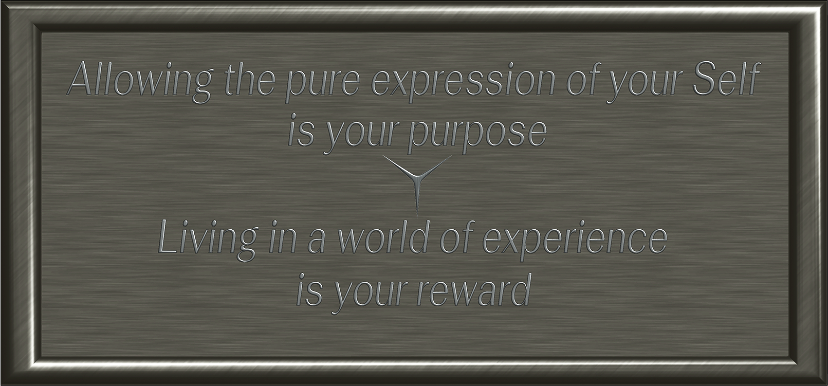 Allowing the pure expression of your Self is your purpose Living in a world of experience is your reward